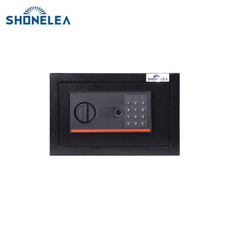 Home Biometric Safes