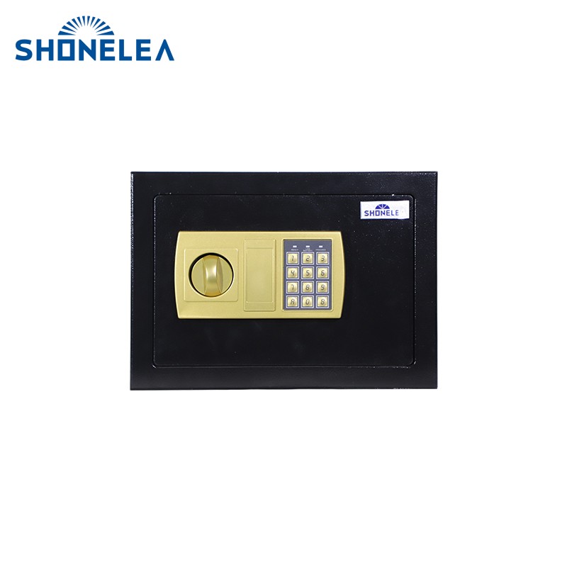 Home Electronic Safes