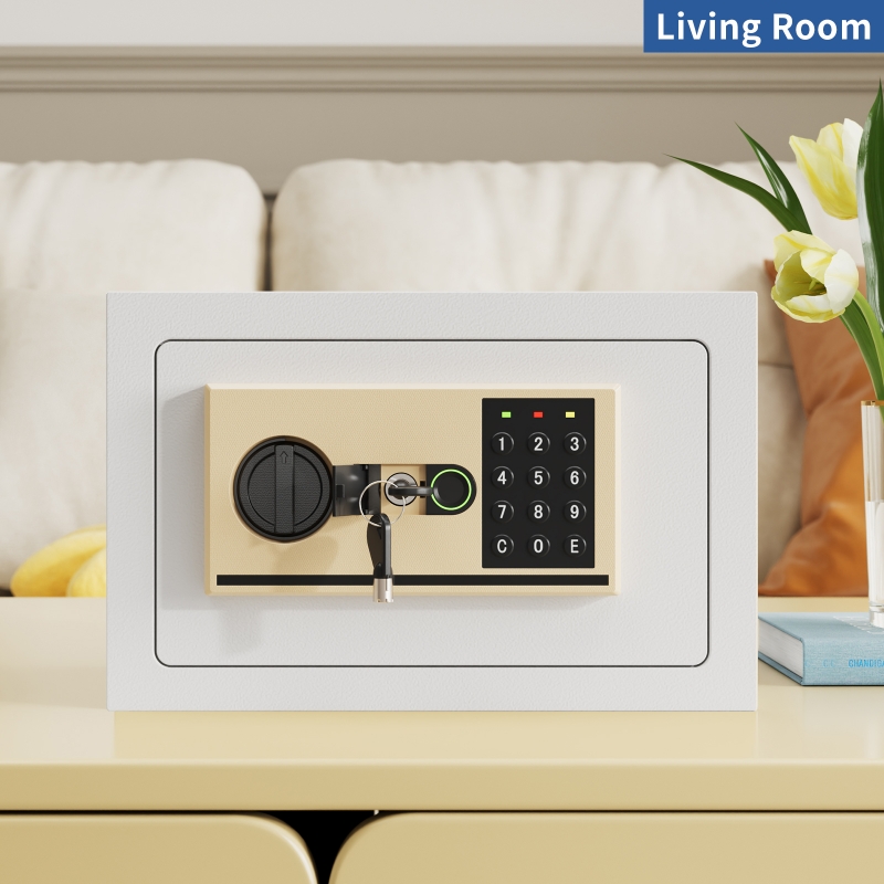 Home Biometric Safes Home Biometric Safes
