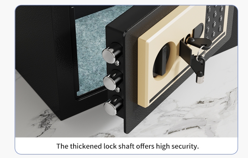 Home Biometric Safes Home Biometric Safes