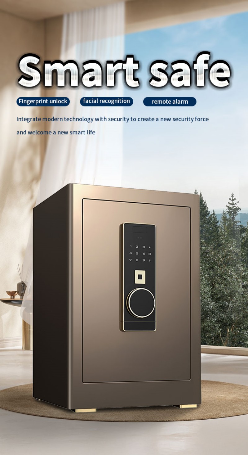 Jewelry Safes